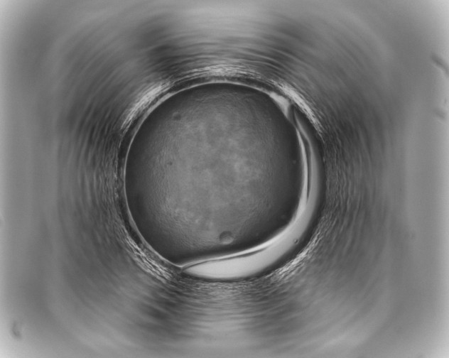 X0000098110930200804181447