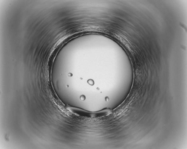 X0000098110931200804181447