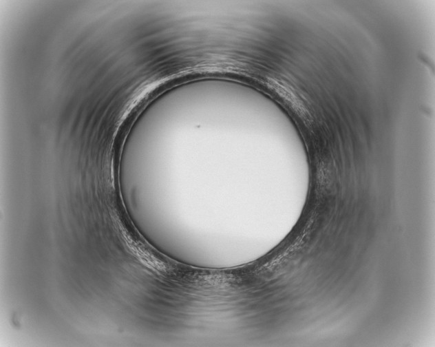 X0000098110934200804181447
