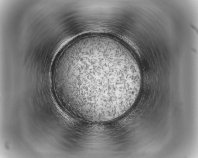X0000098110935200804181447