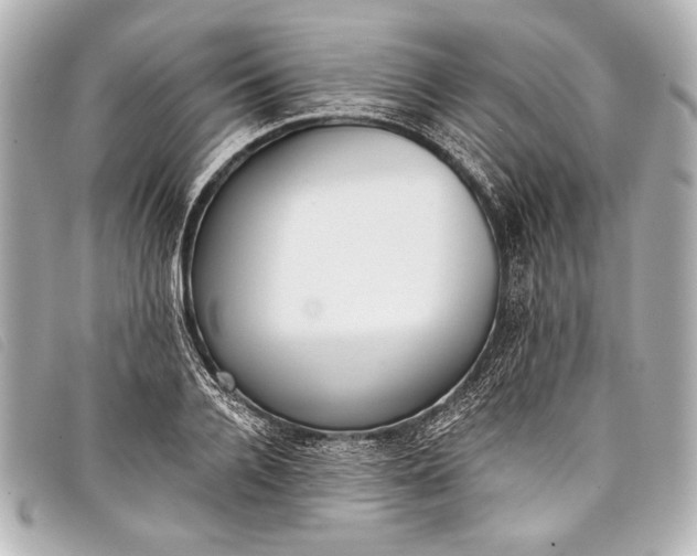 X0000098110936200804181447