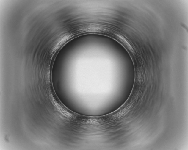 X0000098110938200804181447