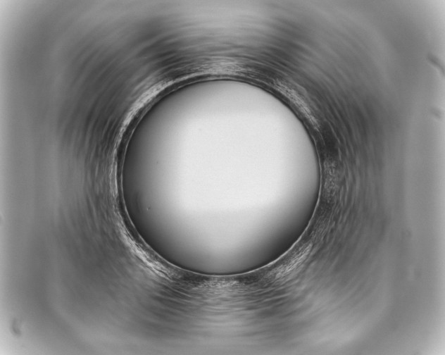 X0000098110939200804181447