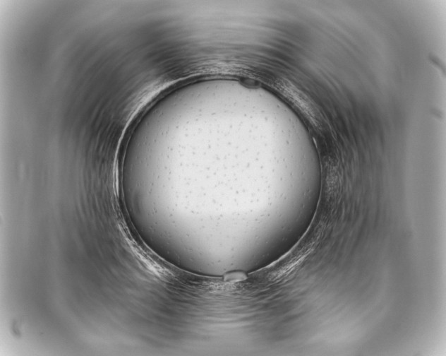 X0000098110940200804181447