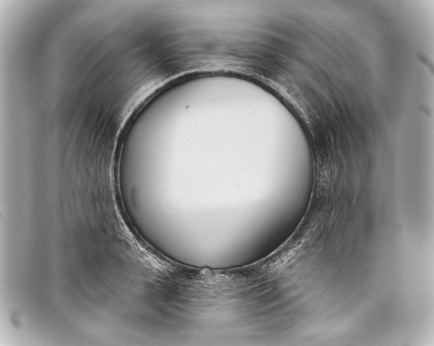 X0000098110943200804181448