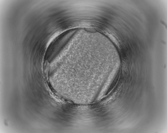 X0000098110944200804181448