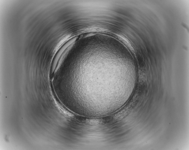 X0000098110946200804181448