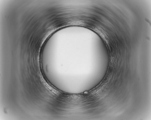 X0000098110947200804181448