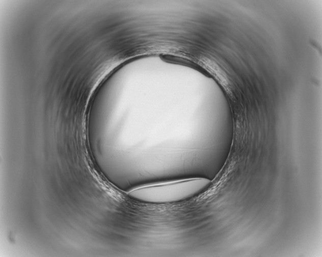 X0000098110948200804181448