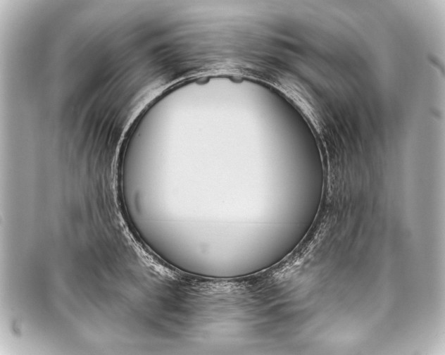 X0000098110949200804181448
