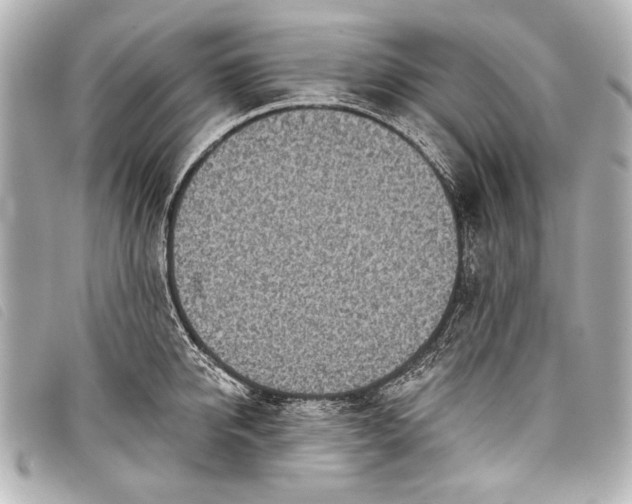 X0000098110950200804181448