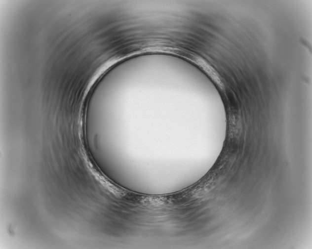 X0000098110955200804181448