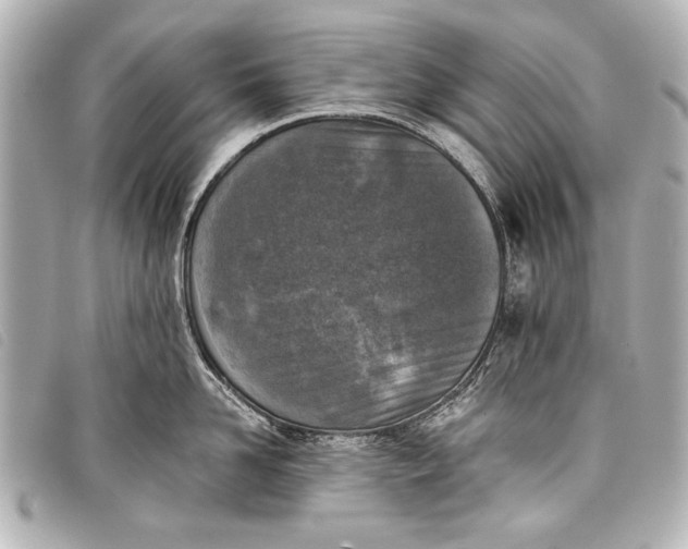 X0000098110958200804181448