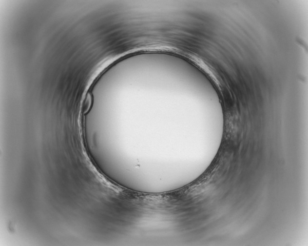 X0000098110959200804181448