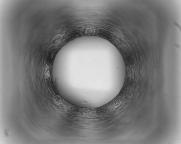 X0000098110962200804181447
