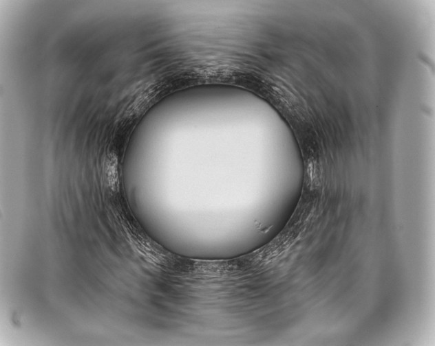 X0000098110963200804181447