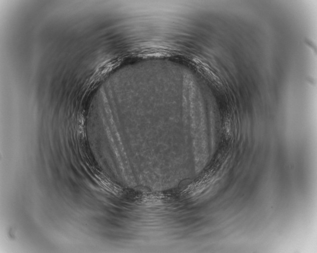 X0000098110964200804181447