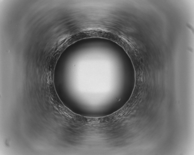 X0000098110965200804181447