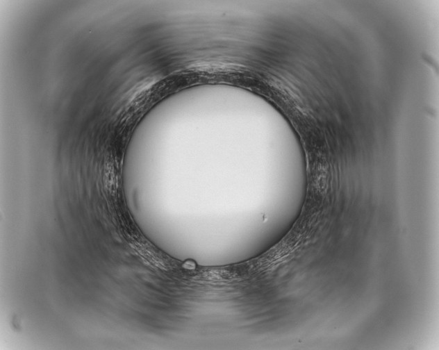 X0000098110966200804181447