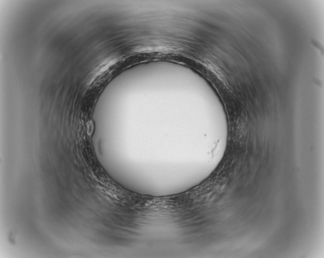 X0000098110967200804181447