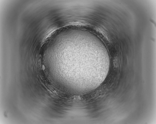X0000098110968200804181447