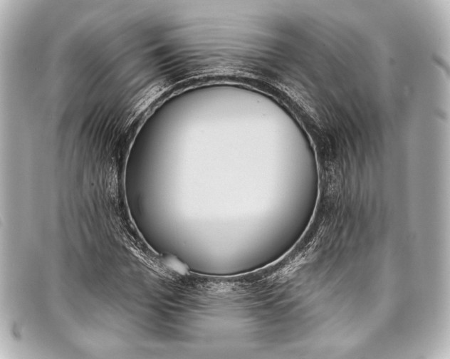 X0000098110969200804181447