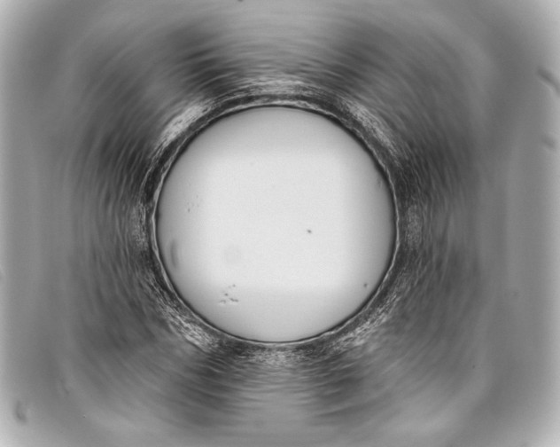 X0000098110970200804181447
