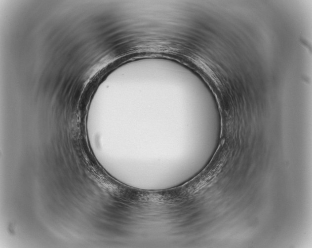 X0000098110971200804181447