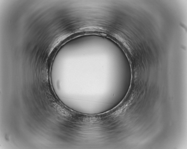 X0000098110973200804181447