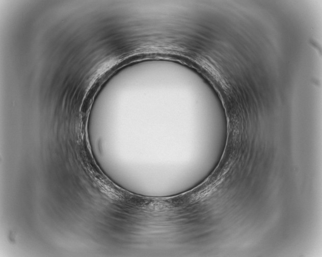 X0000098110974200804181447