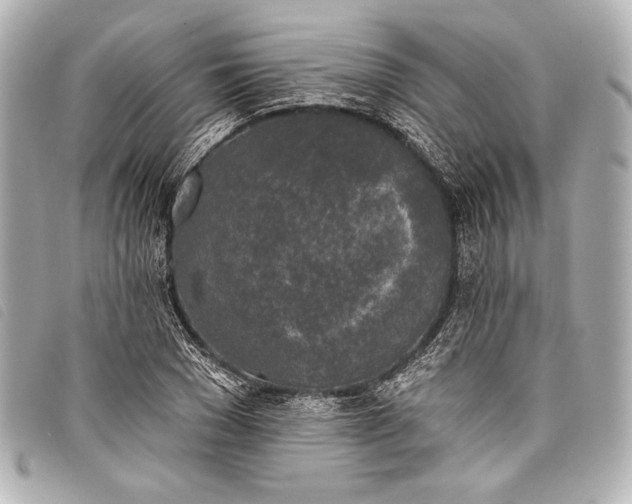 X0000098110977200804181447