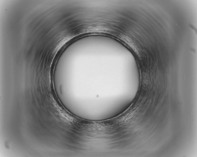X0000098110980200804181447