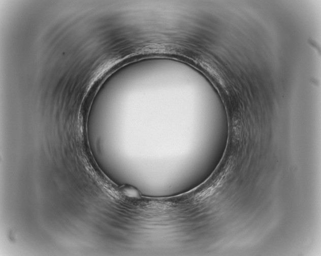 X0000098110981200804181447