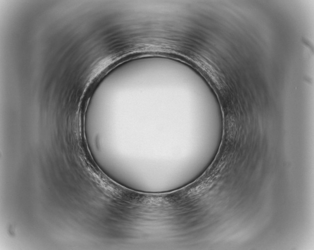 X0000098110982200804181447