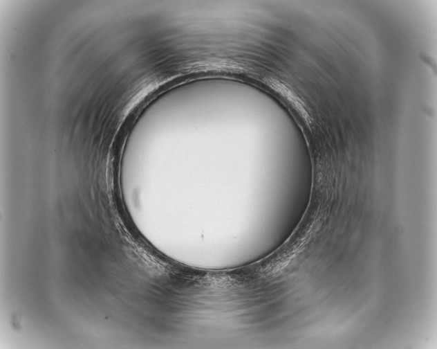 X0000098110983200804181447