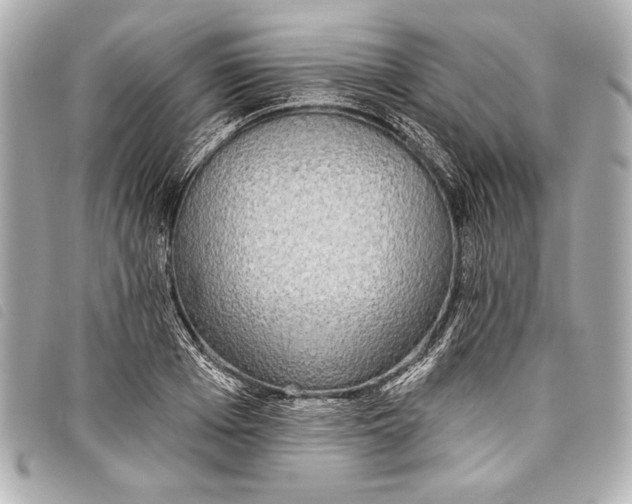 X0000098110985200804181447