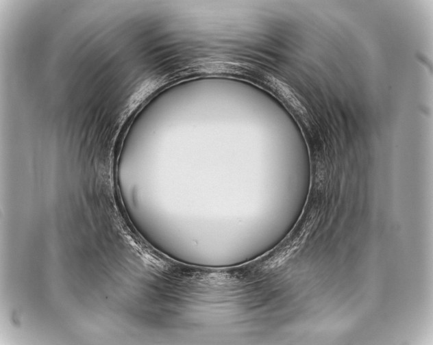 X0000098110986200804181447