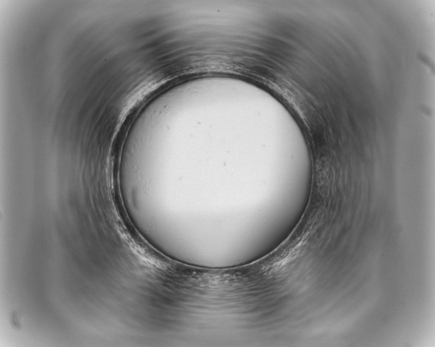X0000098110987200804181447