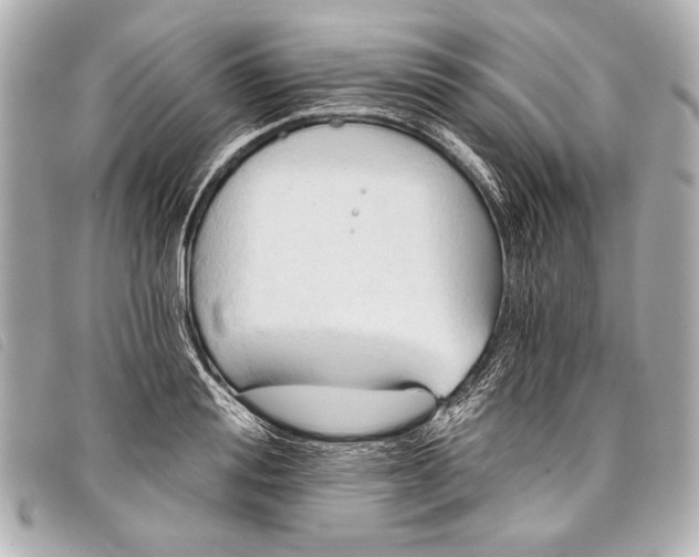 X0000098110988200804181447