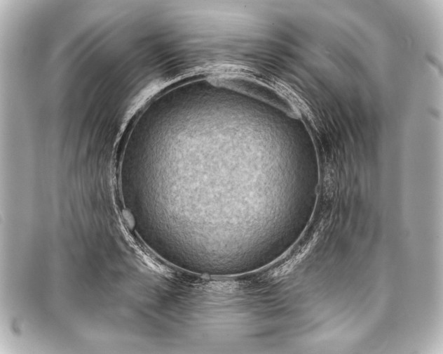 X0000098110989200804181447