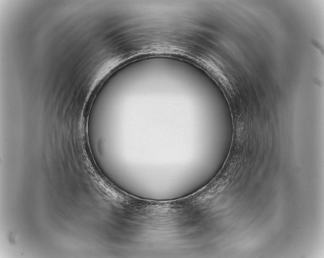 X0000098110990200804181447