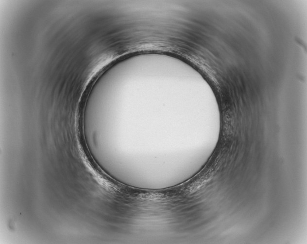 X0000098110991200804181447
