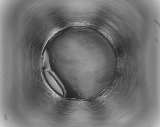 X0000098110992200804181447