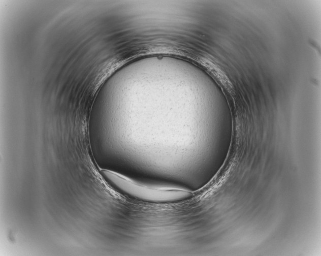 X0000098110993200804181447
