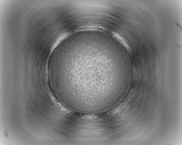 X0000098110994200804181447