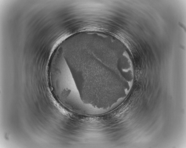 X0000098110995200804181447