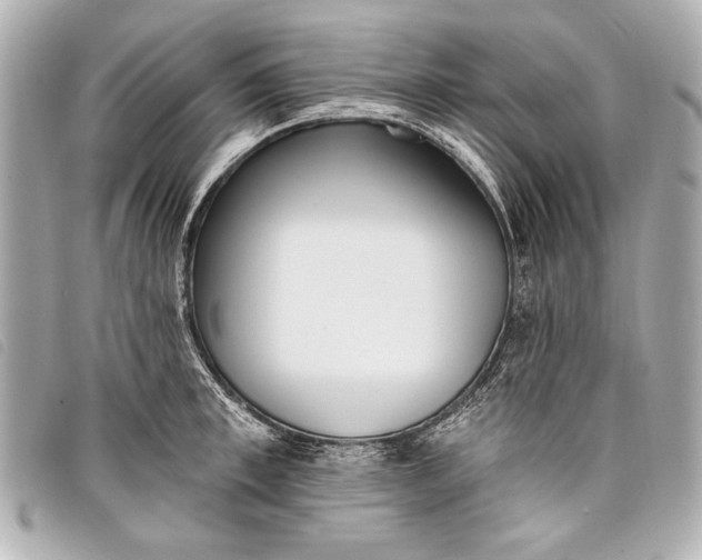 X0000098110997200804181447