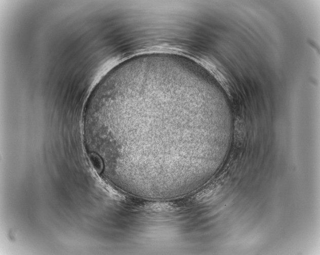 X0000098110998200804181446