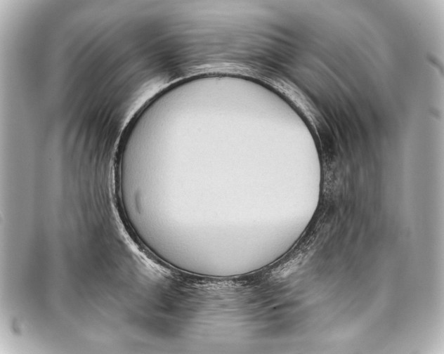 X0000098110999200804181446