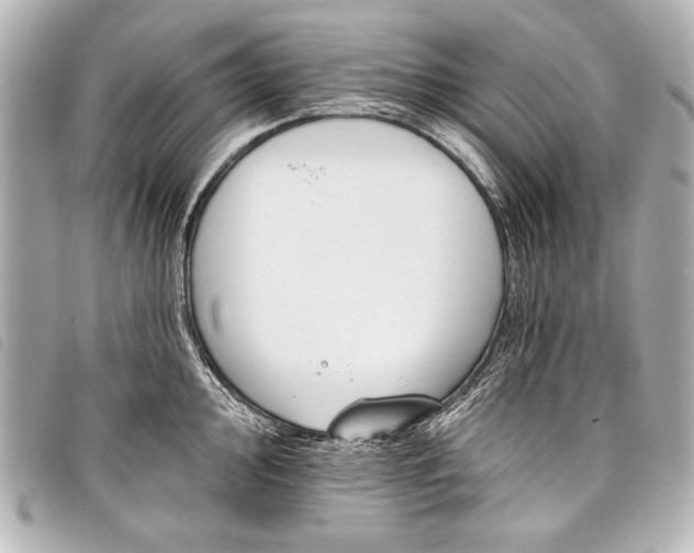 X0000098111000200804181446